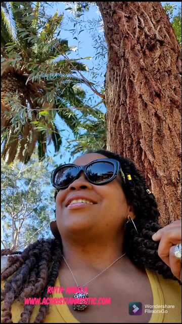 The Trees Are Alive!