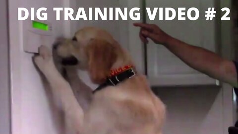 DOG TRAINING # 2