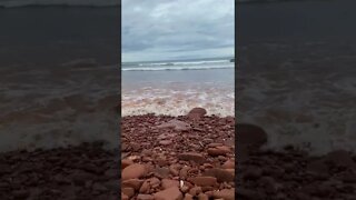 Robinson's Island PEI Compilation