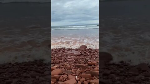 Robinson's Island PEI Compilation