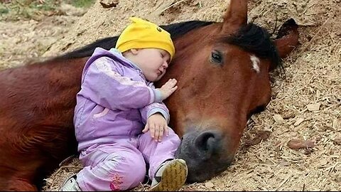 Tender Moment Between a Little Friend and a Horse