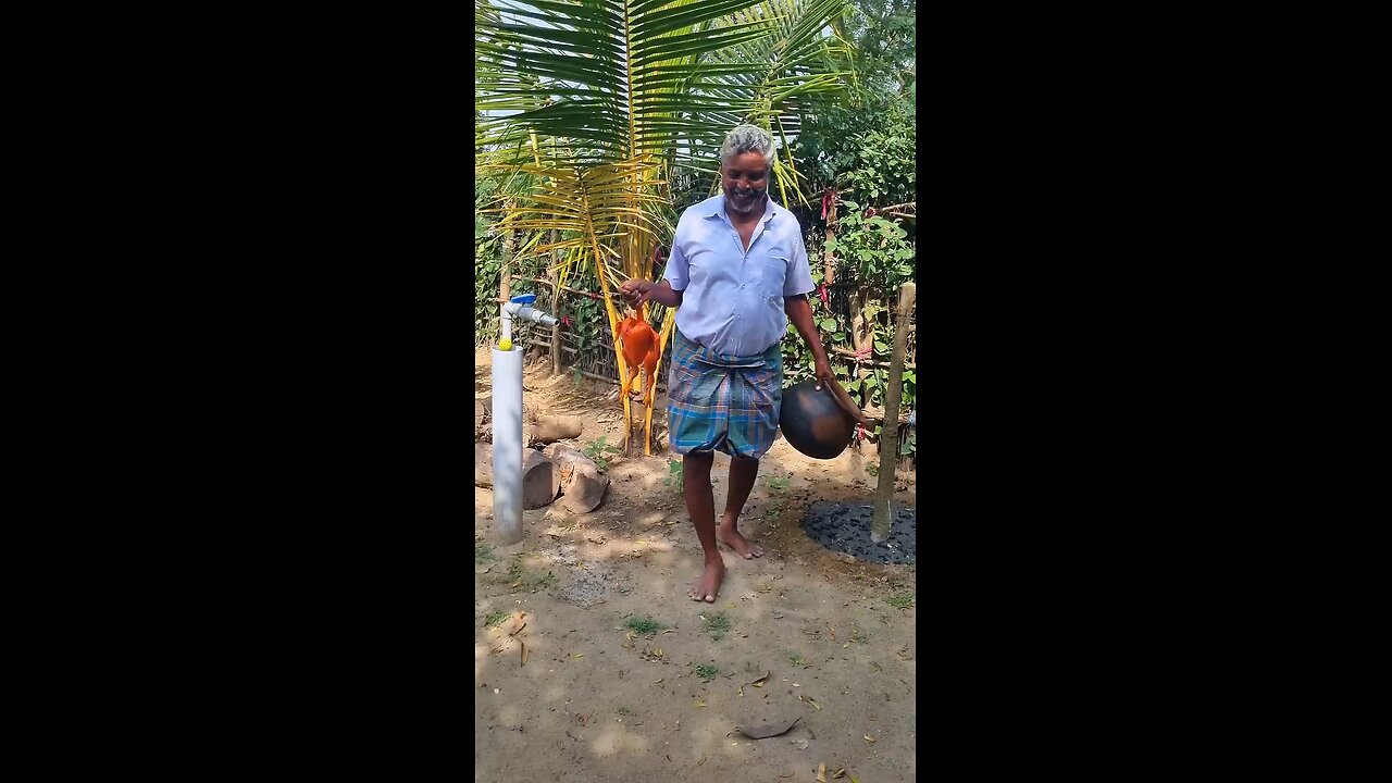 chicken cock in DESI STIYLE