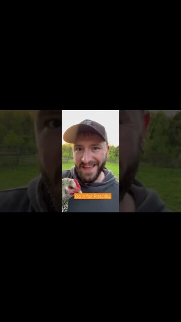 The Chicken and I Need Your Help #shorts