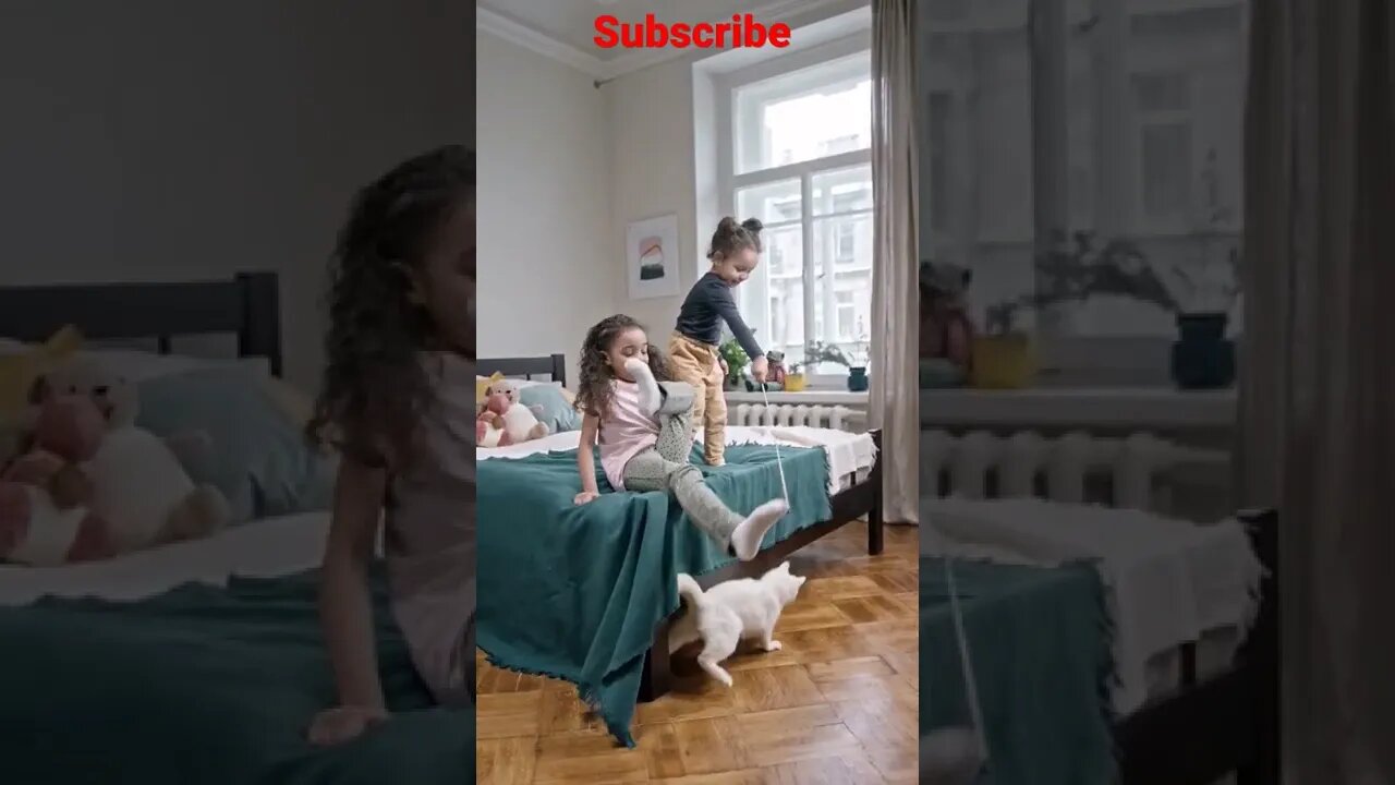 This So Cute Cat and Baby Girl Play Home #Shorts #Shortsfeed #Youtubepets_&_animals