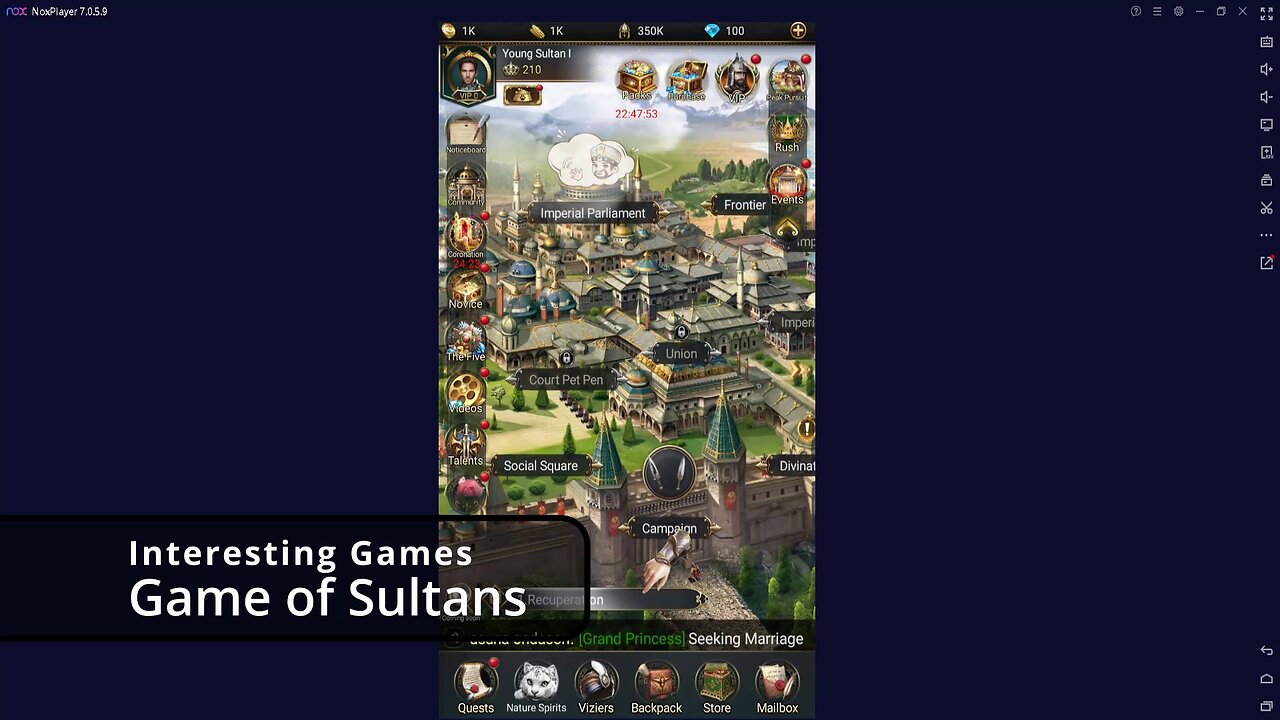 Game of Sultans