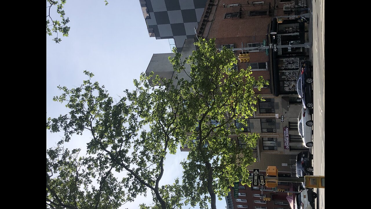 The great outdoors - NYC | pt. 1