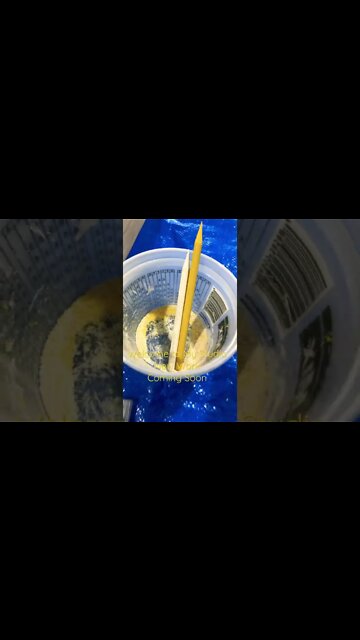 Welcome To My Studio #shorts #painter #epoxy #creative #artist #deer #antlers