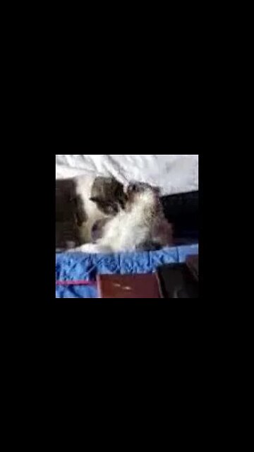 MESSAGE TO THE SUMARIANS HUMANITY ATPEARAL