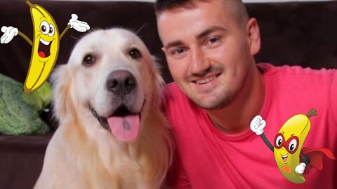 Super Funny Banana Eating with My Cute Dog Bailey [Try Not To Laugh]