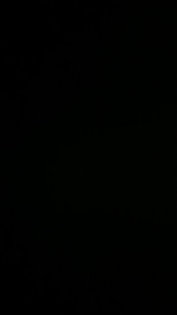 The Christ of Christmas