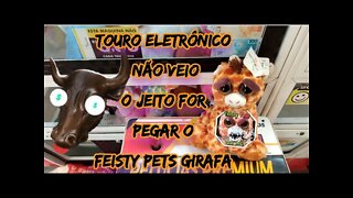 TOURO (TIJOLO) NÃO VEIO, O JEITO FOI PEGAR O FEISTY PETS GIRAFA 🦒🦒🦒