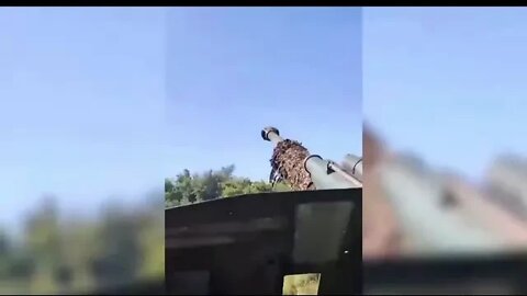 Ukrainian drones