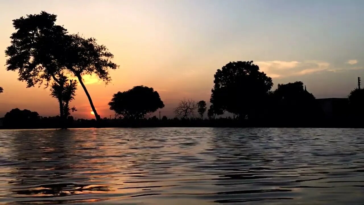 lake shore at sunset