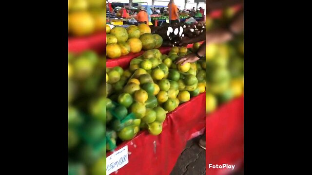 Farmers market Alajela Costa Rica