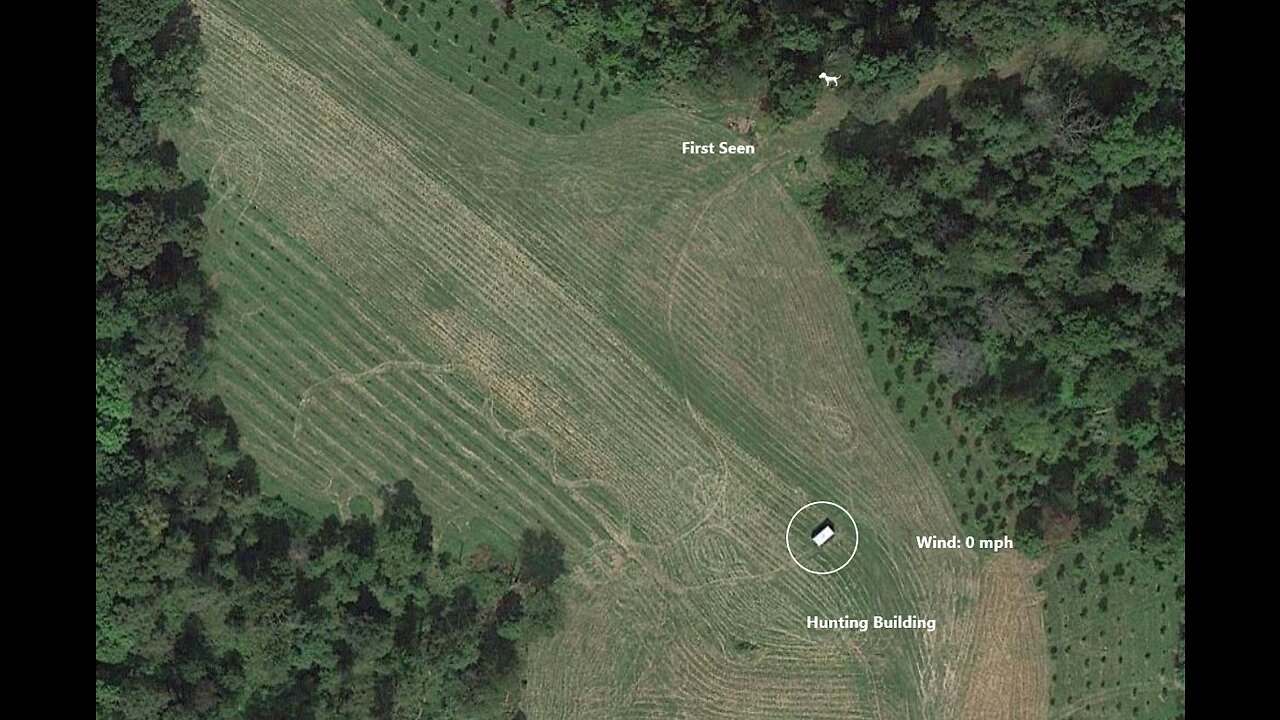 Ohio Coyote Thermal Kill #101