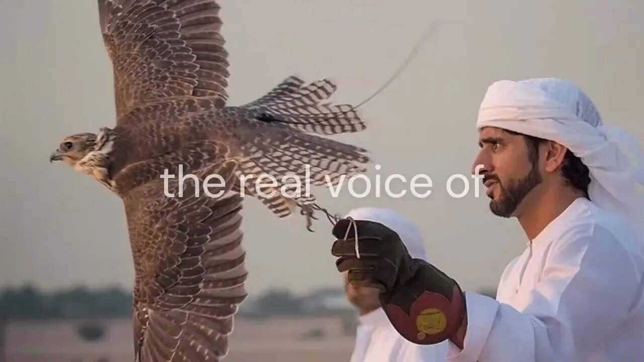 The authentic voice of Fazza speaking English