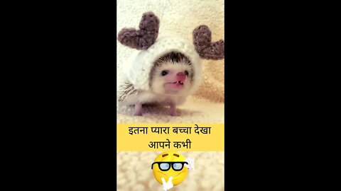 इतना प्यारा बच्चा देखा आपने कभी😱Have you ever seen such a cute baby👈