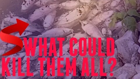 What could have killed them?