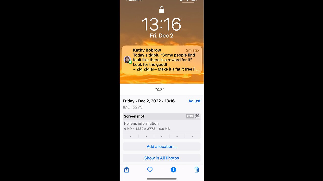 ❤️🐑🦁🦅🦁🐑❤️