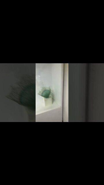 유리예술작품 glass art