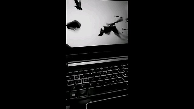 ignore tags #coldplay#music#concert#crowd#asthetic