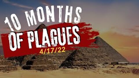 10 Months of Plagues