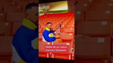 Habla de nueva canción gatubela