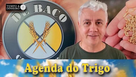 O gargalo logístico começa a repercutir negativamente nos preços...