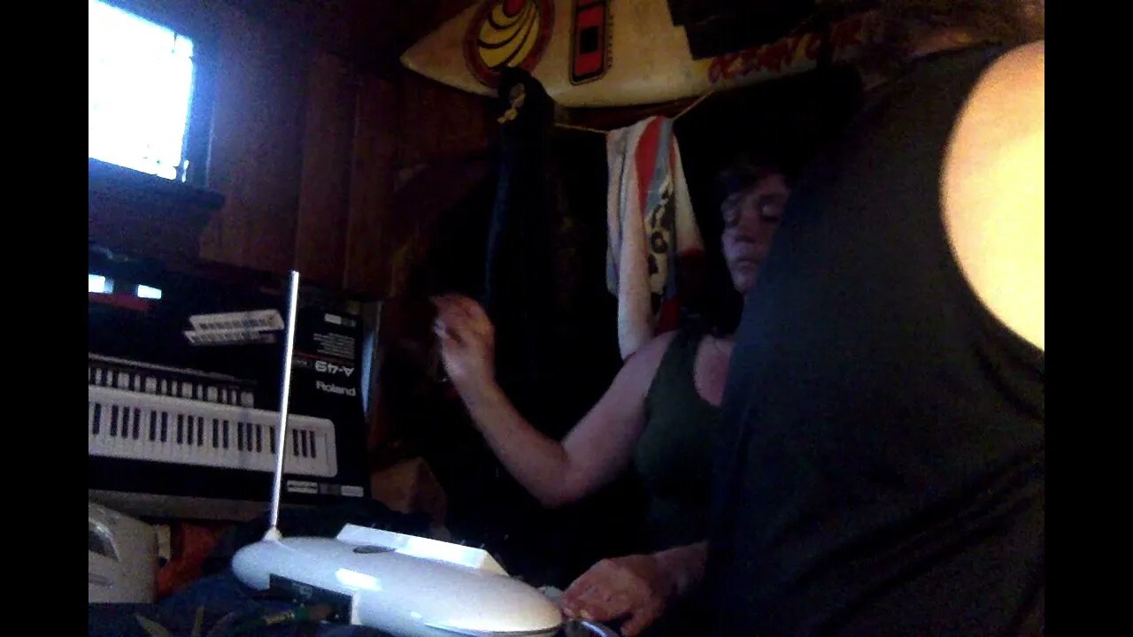 Brave New World: A Theremin/Synthesizor Duet