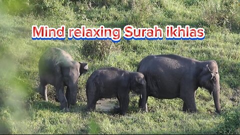 Surah Ikhlas recitation | mind relaxing sound