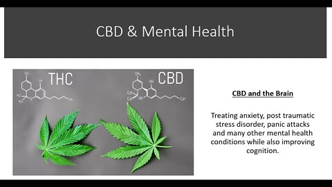 CBD & Blood Flow - PTSD, Stress & Depression
