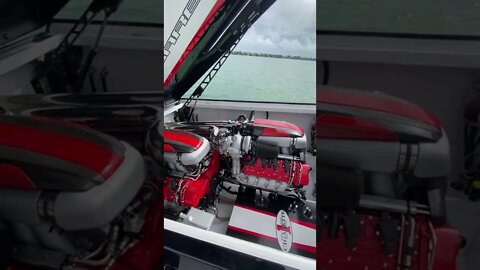 Boats Gone Wild
