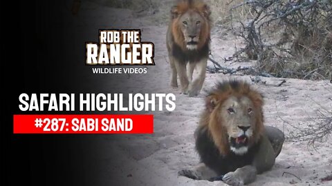 Safari Highlights #287: 24 - 27 August 2014 | Sabi Sand Nature Reserve | Latest Wildlife Sightings