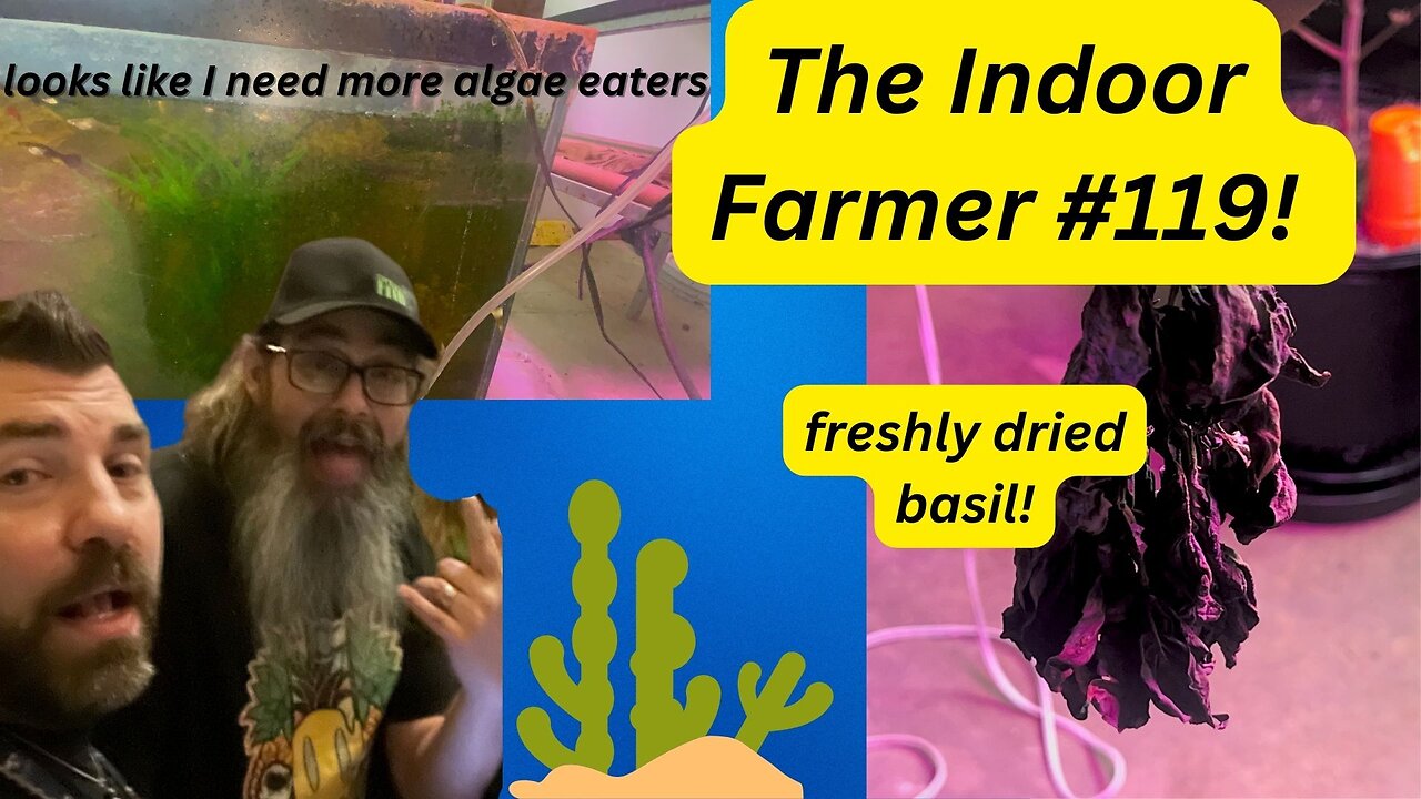 The Indoor Farmer #119! Let's Check Out Some Freshly dried Basil!