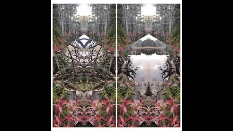 Reversing Polarities
