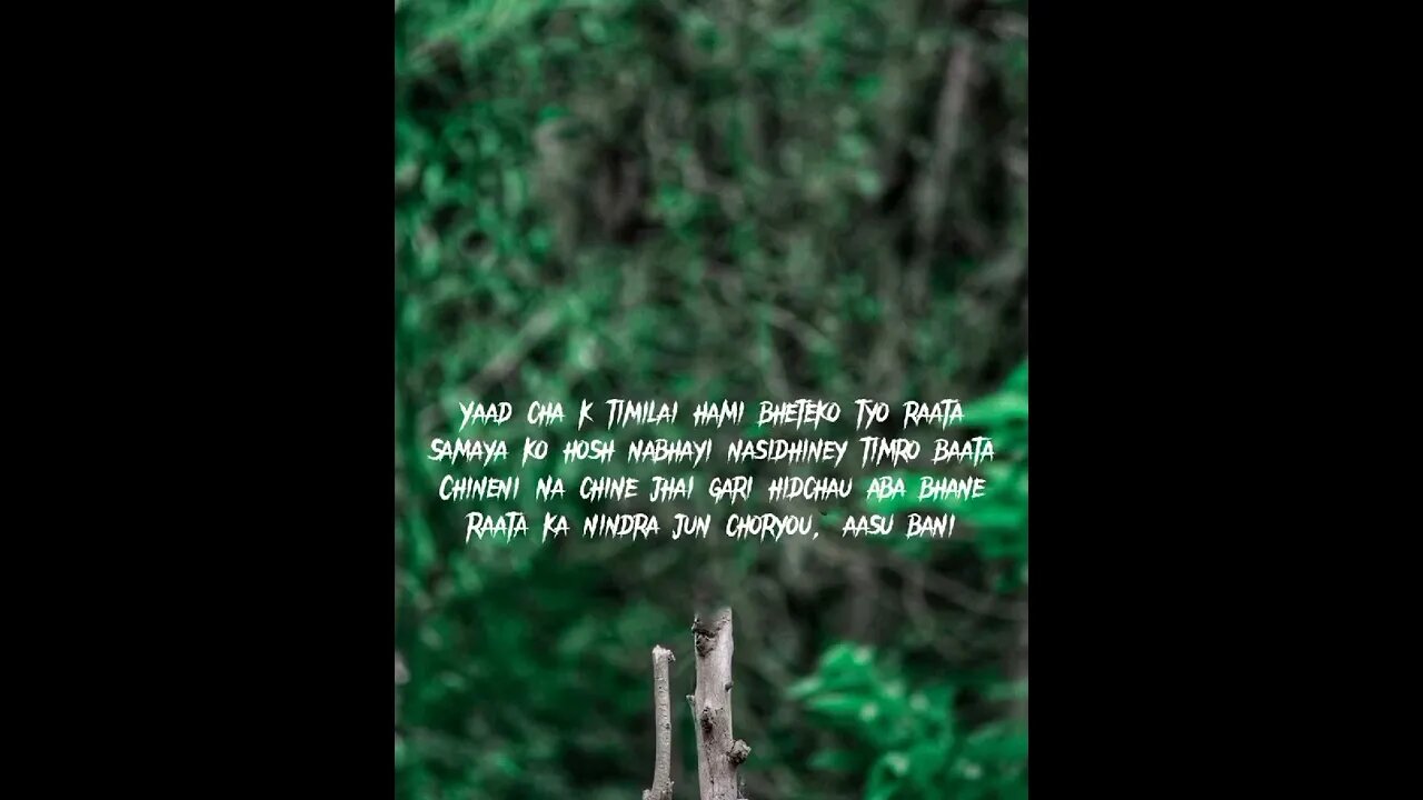 Maya Naruwauna (aayush gauchan) cover song