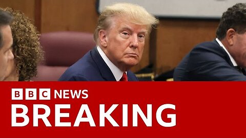 Donald Trump arrested Please Not Guilty To 24 Criminal Charge