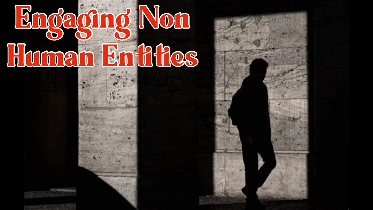 Engaging Non-Human Entities