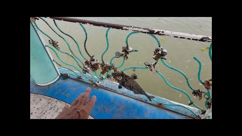 Love Locks Chapala Mexico