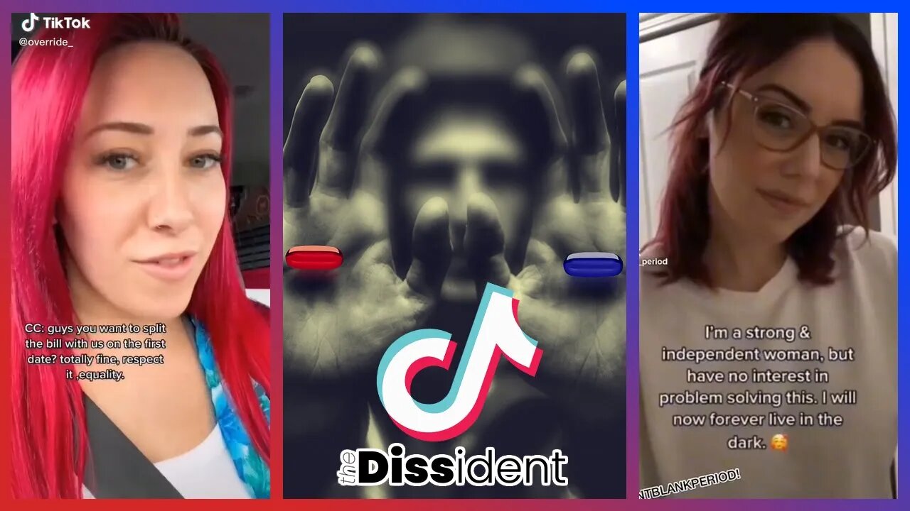 Why Men Are Going Their Own Way (Part 2) | A TikTok Compilation of Why MGTOW
