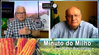 Milho cresce nos portos
