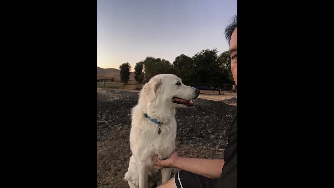 Vlog #91 New Sheriff in Town
