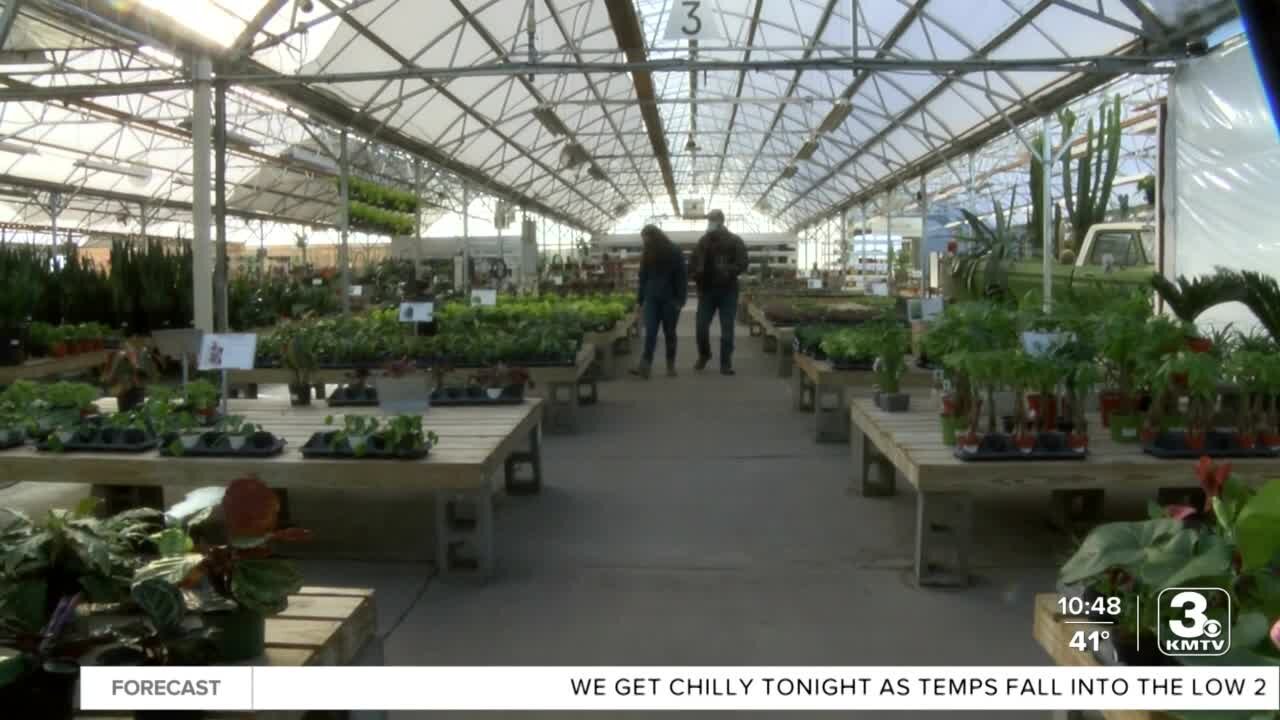Mulhall's hosts Q & A with plant experts for house plant enthusiasts