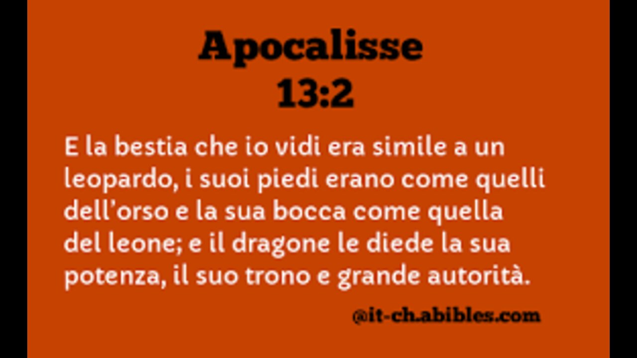 SENZA DESCRIZIONE