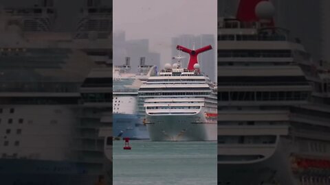 The Cruise Spotter
