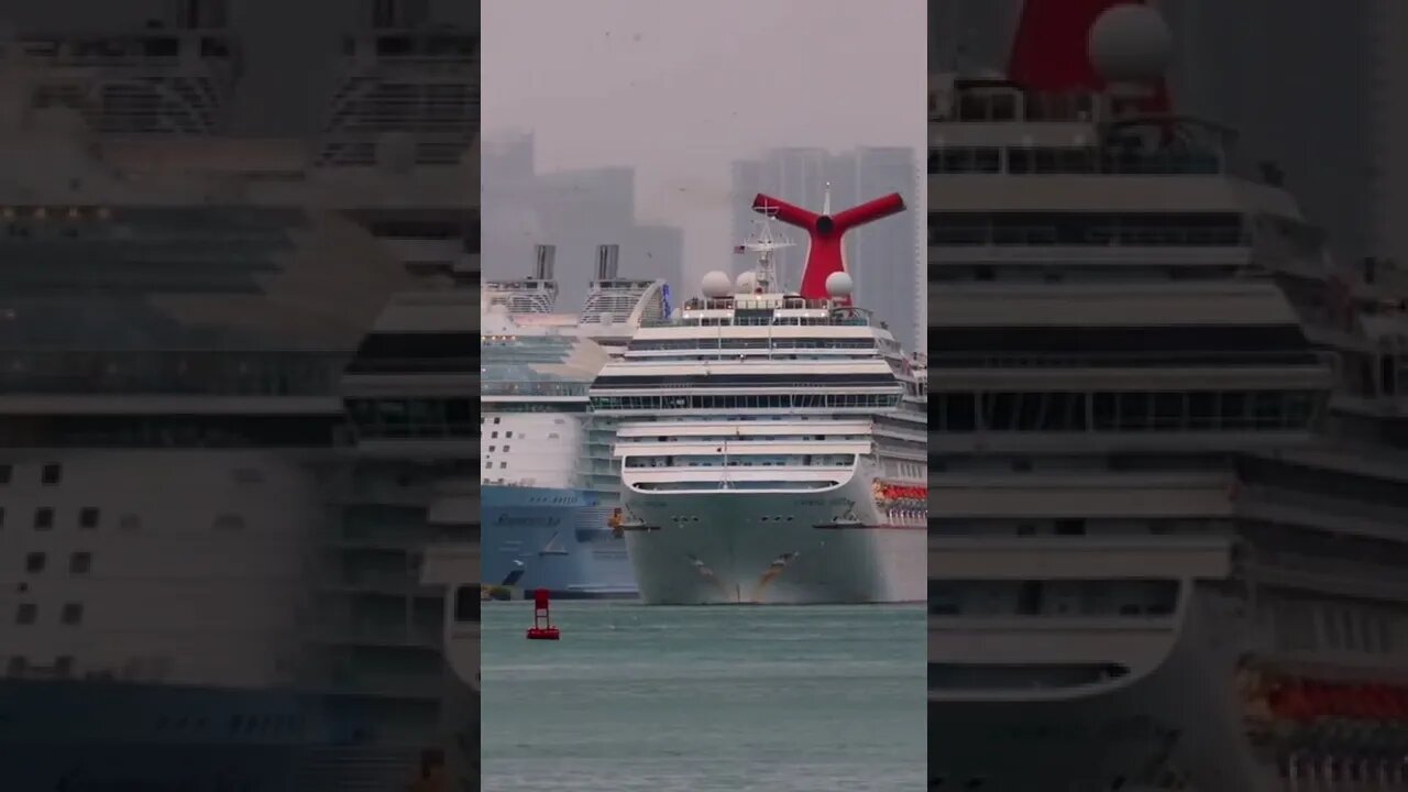 The Cruise Spotter
