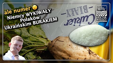 Ale numer... 🤫Niemcy WYKIWAŁY Polaków Ukraińskim BURAKIEM!