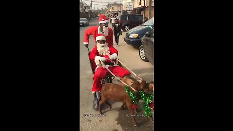 🎅🐐🐐🤣🤣