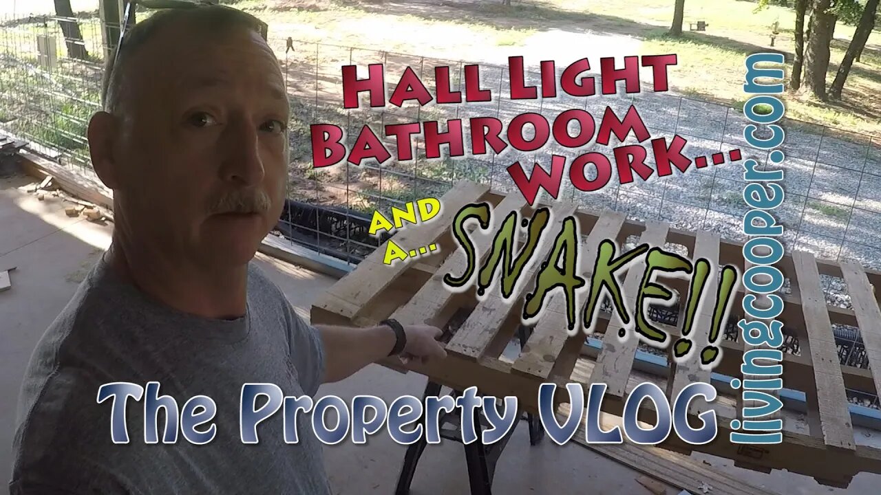 Living Cooper - Property VLOG - Hall Light Bathroom Work... and a... SNAKE!!