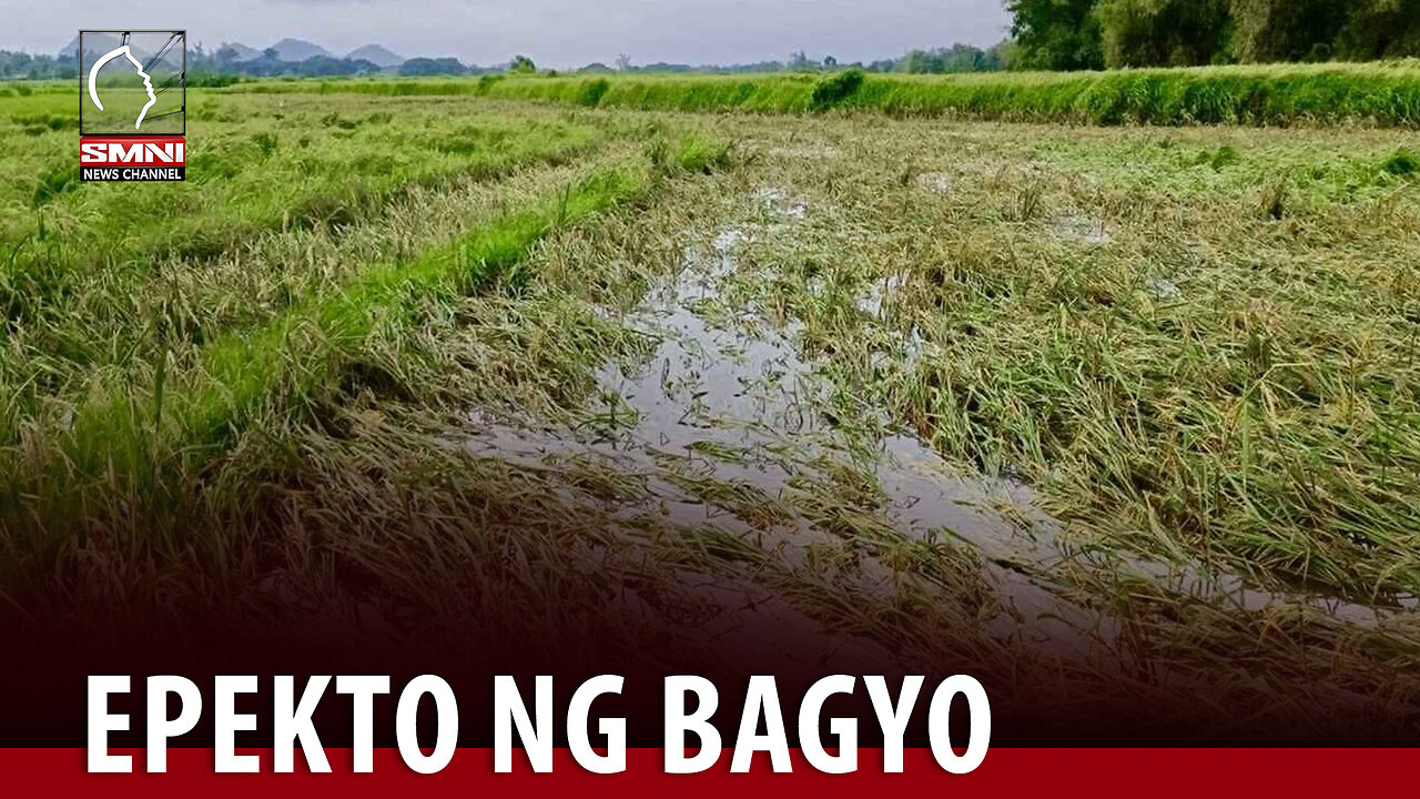 Ilang grupo ng magsasaka, nababahala sa epekto ng bagyong Aghon sa agrikultura —FFF